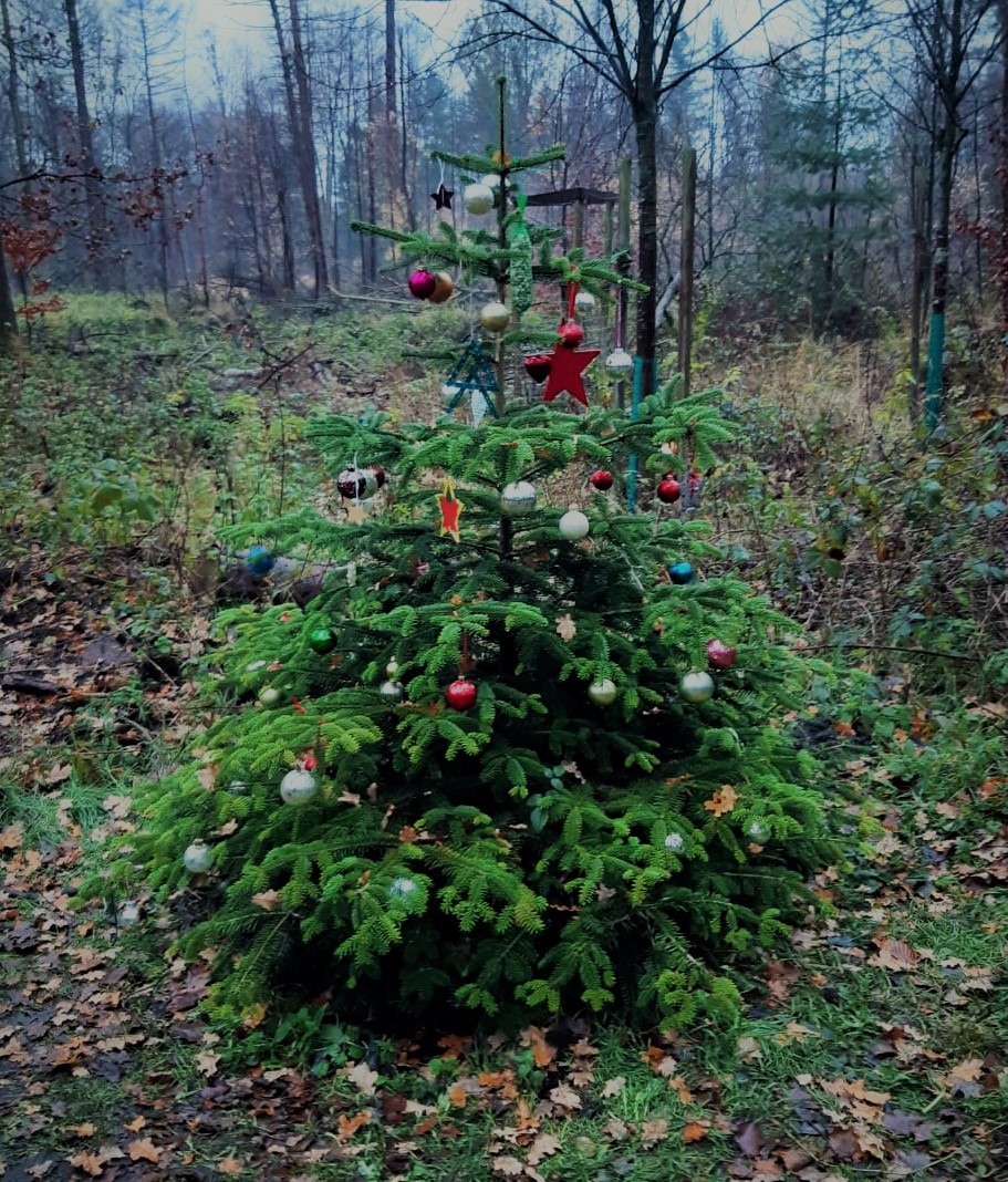 Tannenbaum 2 Kopie