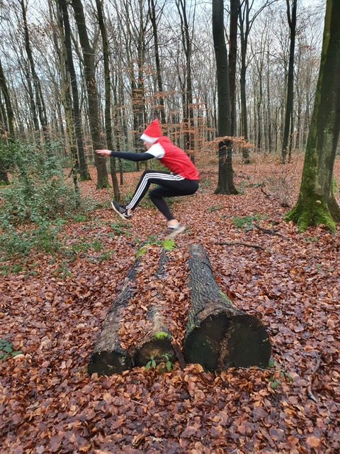 Felix Bergforth Sprung